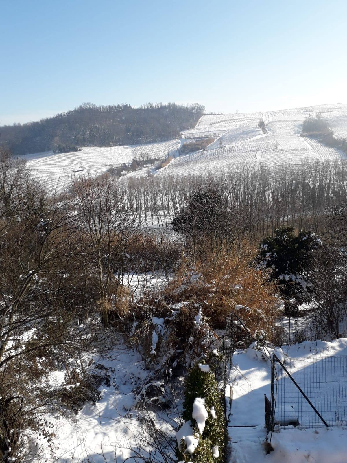 Paesaggio di Maranzana (10)