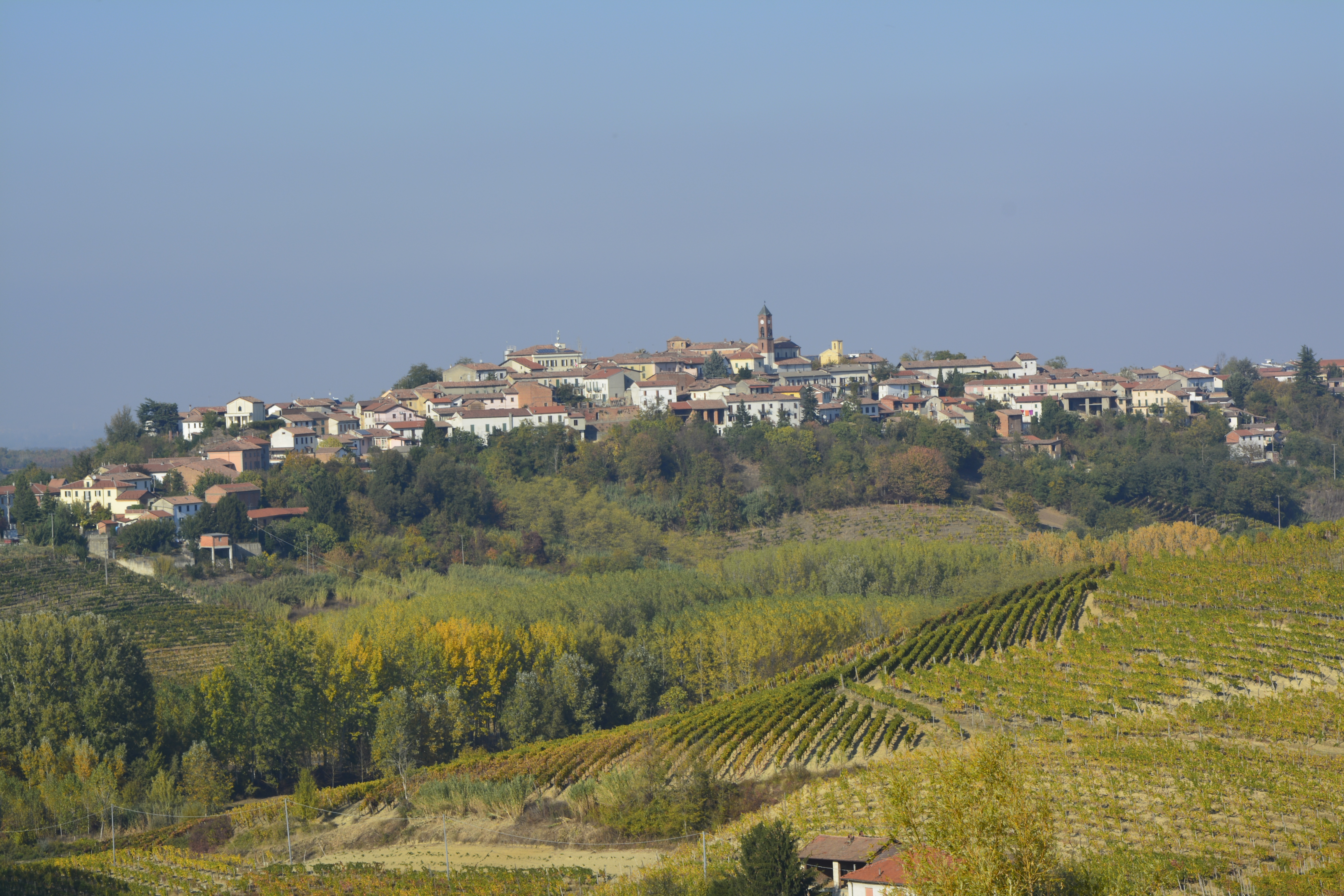 _DSC0055