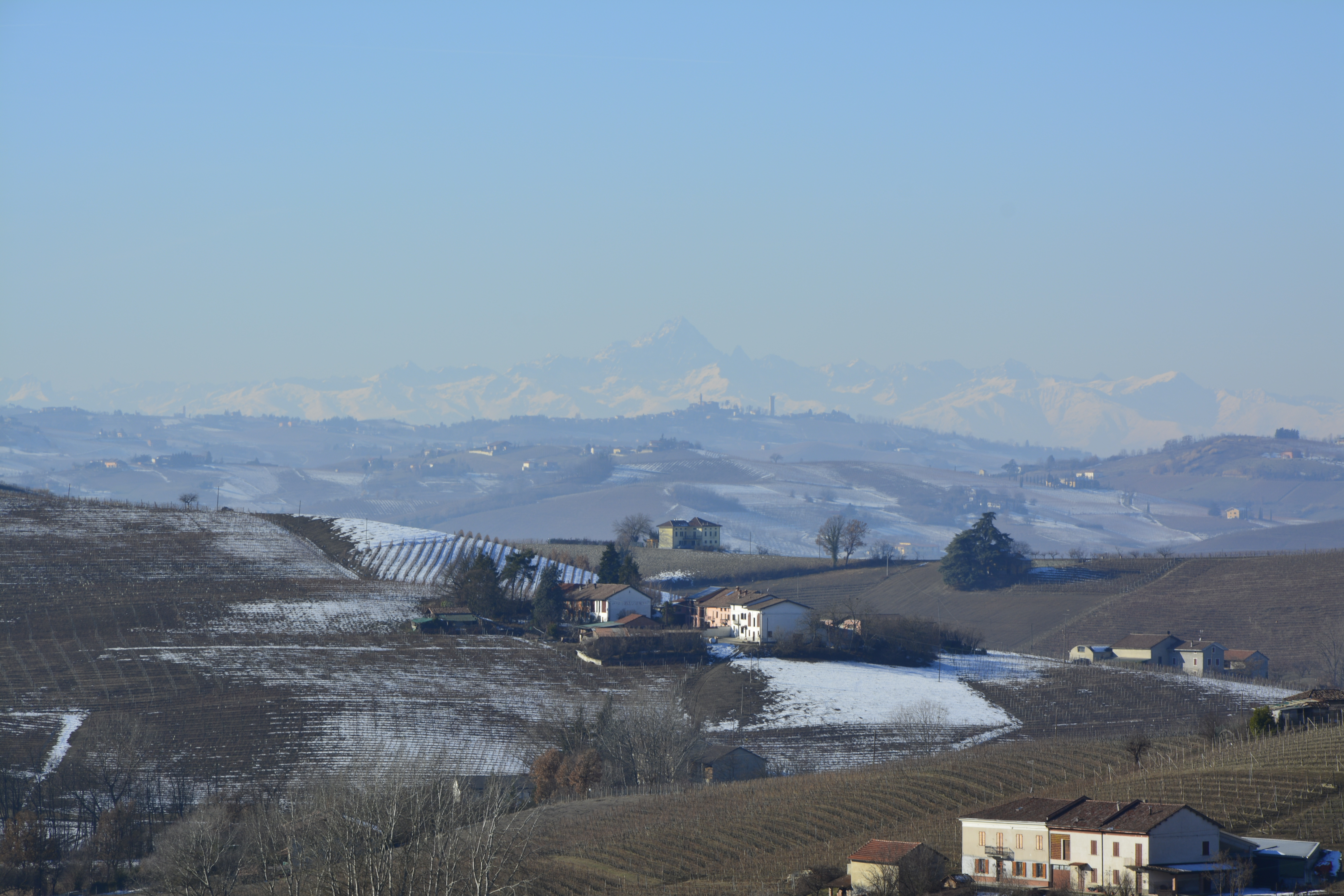 _DSC0065